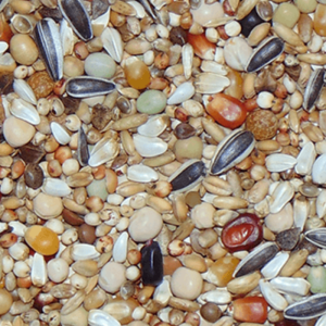 D04 Kweek Diamond Flojo 25kg