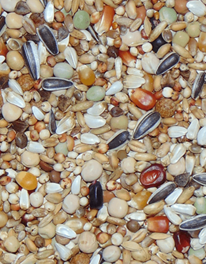 D04 Kweek Diamond Flojo 25kg