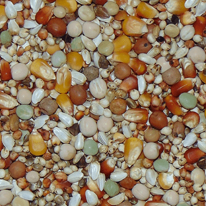 D27 Premium Kweek zonder Tarwe 25kg