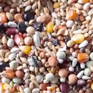 Premium Champion mix