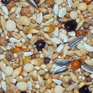 D01 Rui Black Diamond 25kg