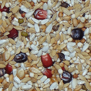 D09 Diamond Bergemann Light 20kg