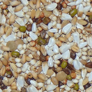 D10 Diamond W.S. 20kg