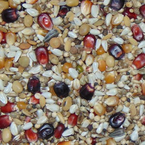 D100 Diamond Olympic 20kg