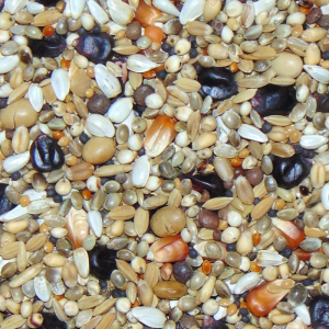 D110 Diamond Olympic Marathon Booster 20kg