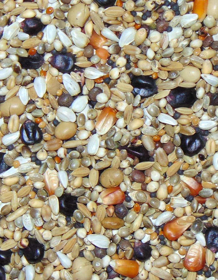 D110 Diamond Olympic Marathon Booster 20kg