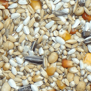 D16 Sieger-Duivinnen Energy 25kg