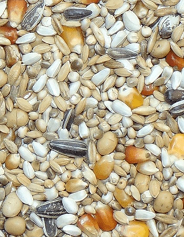 D16 Sieger-Duivinnen Energy 25kg