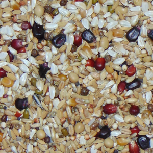 D21 Diamond Black Relax 20kg