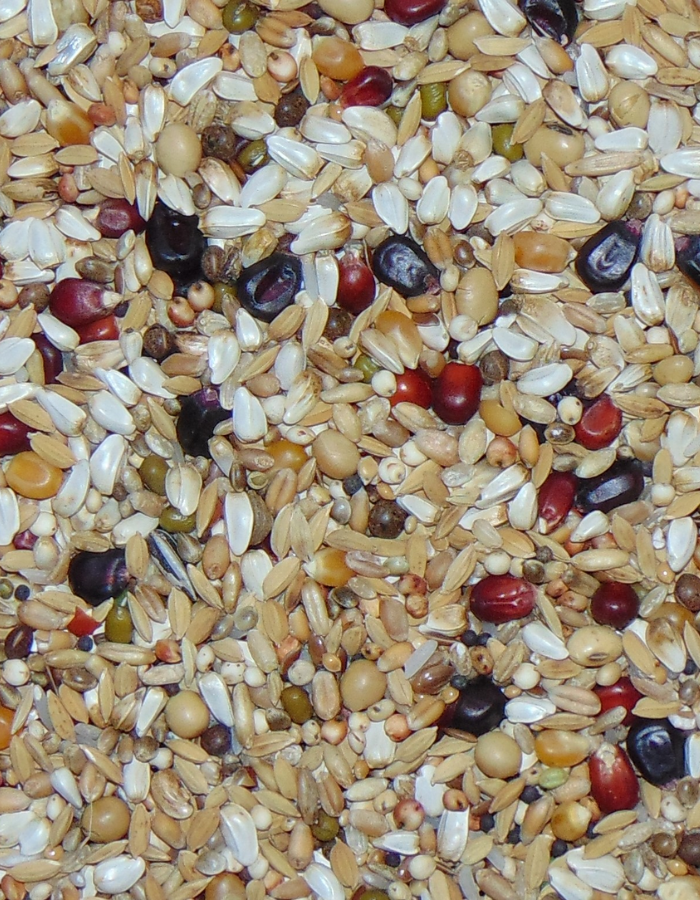 D21 Diamond Black Relax 20kg