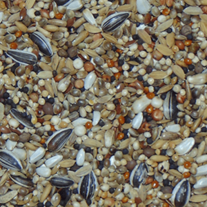 D24 Diamond Snoep 20kg