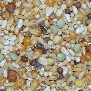 D30 Diamond Superieur Sport & Junior 20kg