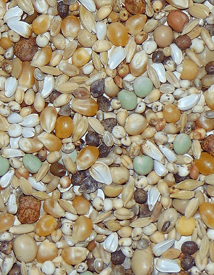 D30 Diamond Superieur Sport & Junior 20kg