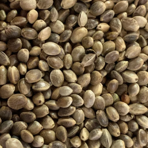 Hennep – Kempzaad 20KG