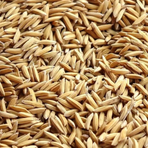 Paloma Paddy rijst 20KG