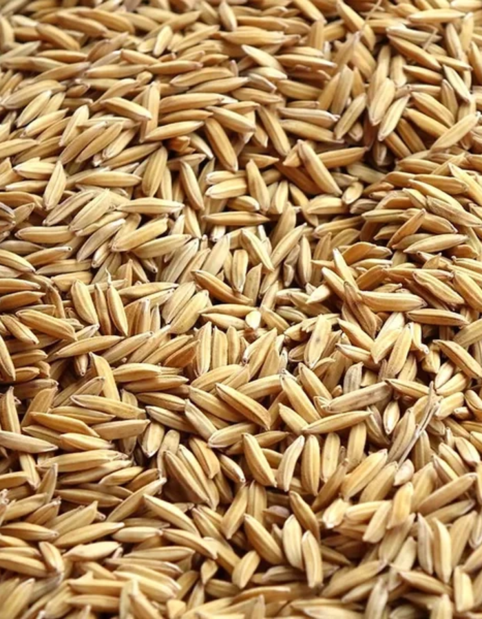 Paloma Paddy rijst 20KG