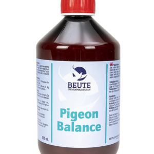 Pigeon Balance