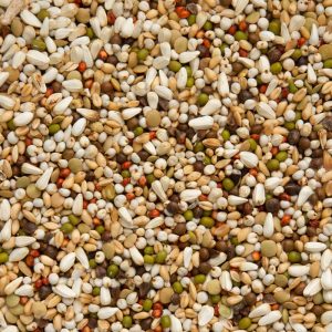 Paloma Wall Zoontjes